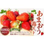いちご よかもんいちご あまおう苺セット4パック