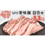 豚肉 バラ 常陽さん家のSPF 美味豚 詰合せ