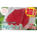 ふるさと納税 もも 福�