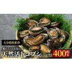 fu.... налог рыба моллюски Ooita префектура .. город натуральный ..to магнолия кобус ( примерно 400g* половина размер ) морепродукты .to магнолия кобус . ламинария . сеть жарение масло жарение барбекю .. длина рефрижератор море...