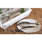 川魚 あゆ フレッシュマートキシモトさんの天然鮎