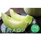 ふるさと納税 メロン メロン青肉 山形県 - 《先行予約 2025年度発送》 山形県産庄内メロン5kg 青肉メロン 4L〜2Lサイズ 青肉メロン メロン 青肉 デザート フル…