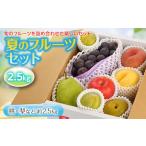ふるさと納税 もも 山形県 - 《先行予約 2025年度発送》夏のフルーツセット 2.5kg もも モモ 桃 デザート フルーツ 果物 くだもの 果実 食品 山形県 FSY-0055