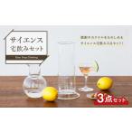 食器 グラス 徳利 A113 サイエンス 宅飲み