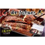 ふるさと納税 うなぎ 福井県 敦賀市 指定日可能 ・着日指定 国産 うなぎ 蒲焼き 約165g × 2尾（化粧箱入り） ウナギ 鰻 蒲焼 かば焼き ひつまぶし 冷凍 しお…