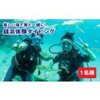 体験チケット ダイビング 体験 錦浜 シーガルイン