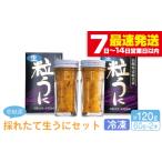 fu.... налог морской еж Nagasaki префектура .. город .... длина сырой ..60g× 2 шт .. Nagasaki шарик .... морской еж сырой .. сырой морской еж фиолетовый морской еж shiun . бутилированный бутылка ведро морепродукты морепродукты новый...