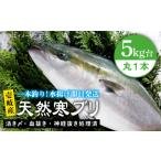 旬の鮮魚等 壱岐島産 天然寒ブリ 5キロ台