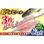 旬の鮮魚等 壱岐島産天然ヒラマサ 6キロ台
