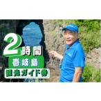 体験チケット 壱岐島内観光ガイド券 2時間程度