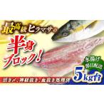 旬の鮮魚等 壱岐島産天然ヒラマサ 5キロ台