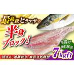 旬の鮮魚等 壱岐島産天然ヒラマサ 7キロ台