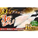 旬の鮮魚等 天然クエ 16キロ台 3枚おろし