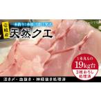 旬の鮮魚等 天然クエ 19キロ台 3枚おろし