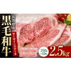 牛肉 ロース 黒毛和牛 贅沢 サーロインステーキ 250g×10枚