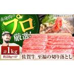 ふるさと納税 牛肉 炒め物 佐賀県 白石町  牧場直送 佐賀牛 至福の切落し 1kg（250g×4パック） 佐賀セントラル牧場 佐賀県産 牛肉 きりおとし 切り落とし リ…