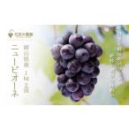 ふるさと納税 岡山県 真庭市 hana14.花笑み農園　岡山ぶどう『ニューピオーネ』1kg（2房）