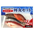 魚貝類 漁師まちの鮮魚店厳選 おまかせ 鮮魚