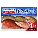 魚貝類 漁師まちの鮮魚店厳選 おまかせ 鮮魚