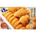 ふるさと納税 ウニ 北海道 羅臼町 先行予約/2026年1月より発送 エゾバフンウニ 折うに(上)120×1枚