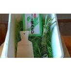 野菜類 植本わさび本舗 生わさび ときめき初体験セット