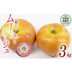 ふるさと納税 りんご 長野県 飯綱町 りんご ムーンルージュ 3kg やまじゅうファーム 沖縄県への配送不可 2025年10月下旬頃から2025年11月上旬頃まで順次発送予…
