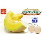 ふるさと納税 メロン メロン青肉 静岡県 袋井市 クラウンメロン（白等級）小玉 ２玉入　