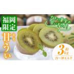 甘うぃ キウイ 約3kg