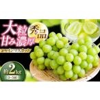 ぶどう マスカット シャインマスカット 約2kg