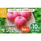 ふるさと納税 りんご 長野県 小布施町  訳あり サンふじ 約10kg 26〜40玉［おぶせファーマーズ］不揃い 規格外 家庭用 りんご 林檎 リンゴ 果物 フルーツ ふじ…