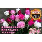 花 苗木 花束 生産者直送 バラの花束 約20本