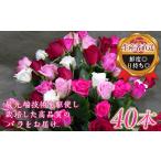 花 苗木 花束 生産者直送 バラの花束 約40本