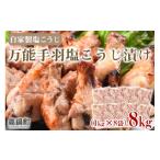 鶏肉 味噌 漬け チキン 8kg