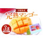 ショッピングふるさと納税 マンゴー ふるさと納税 マンゴー 宮崎県 宮崎市 《2026年発送先行予約》 数量・期間限定 宮崎県産 完熟マンゴ− 3玉_M184-002_02 19,000円　3玉 (合計750g以上)