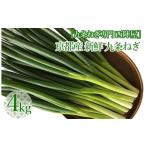 fu.... налог овощи вид лук порей Kyoto (столичный округ) черепаха холм город [ 9 статья лук порей специализация запад . магазин ] Kyoto производство свежий 9 статья лук порей вдоволь 4kg{ Kyoto бренд столица овощи 9 статья лук-батун .}