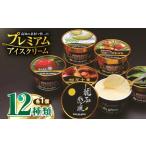 菓子 アイス プレミアムアイスクリーム 12個入り