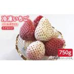 ふるさと納税 いちご 佐賀県 白石町  2026年5月以降発送 贅沢2種食べ比べ 白石産冷凍いちご（さがほのか・パールホワイト）750g ハヤシダファーム 九州 佐賀県…