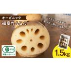 人参 大根 他根菜 洗い 2026年9月~発送