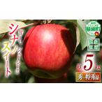 ふるさと納税 りんご 長野県 飯綱町 りんご シナノスイート 秀 〜 特秀 5kg 関農園 沖縄県への配送不可 2026年10月上旬頃から2026年10月下旬頃まで順次発送予…
