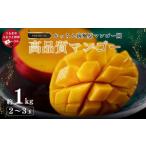 ふるさと納税 マンゴー 沖縄県 うるま市 高品質マンゴー 秀品 約1kg(2〜3玉) かっちん南風原マンゴー園 2025年発送