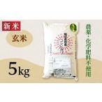 ふるさと納税 玄米 新潟県 長岡市 E1-G051A新潟県長岡産コシヒカリ玄米5kg