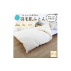タオル 寝具 掛け布団 洗える 春夏用羽毛肌掛け布団シング…