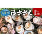 fu.... налог Sazae Kumamoto префектура небо . город S002-018_....1kg супер примерно 3 порции 