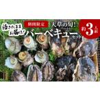 ふるさと納税 牡蠣 生牡蠣 熊本県 天草市 S002-020_ 期間限定・先行受付 天草の旬 バーベキューセット　約3人前
