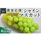 ショッピングふるさと納税 先行予約 ふるさと納税 ぶどう マスカット 福岡県 うきは市  先行予約 やりみず農園 農家応援 ご家庭用 シャインマスカット （約2kg） 2026年8月下旬〜9月上旬より順次…