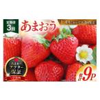 ショッピングふるさと納税 いちご ふるさと納税 いちご 福岡県 宇美町  期間限定発送 いちご 定期便 あまおう 3パック 3回 総計9パック THE FARM_strawberry 福岡県 宇美町 um40azo780004 先行…