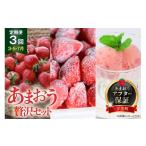 ふるさと納税 いちご 福岡県 宇美町  期間限定発送 いちご 定期便 贅沢セット フレッシュあまおう & 冷凍あまおう & ジェラート 2種 THE FARM_strawbe…