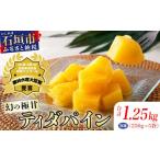 ふるさと納税 果物類 沖縄県 石垣市  先行予約 當銘さんの完熟カットパイン 1.25kg (250g×5袋) 2026年6月上旬から発送 | パイナップル パイン 冷凍パイン 沖…