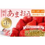 ふるさと納税 いちご 福岡県 宗像市 定期便/3ヶ月連続お届け 博多あまおう 約280g×2パック 計3回 総量1.68kg 3カ月定期便 ほたるの里 _HB0075