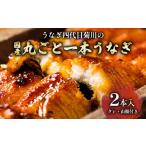 ふるさと納税 うなぎ 愛知県 北名古屋市 うなぎ四代目菊川の「丸ごと一本鰻」2本入_うなぎ 鰻 ウナギ 蒲焼き 蒲焼 かば焼き タレ 山椒 真空包装 真空 惣菜 お…